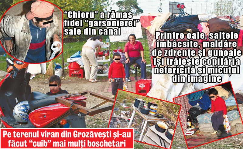 Arhiva foto