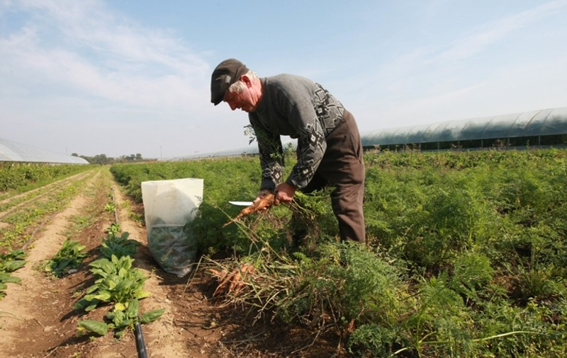 STUDIU: 37% din POPULAŢIA DIN MEDIUL RURAL trăieşte FĂRĂ SALARIU