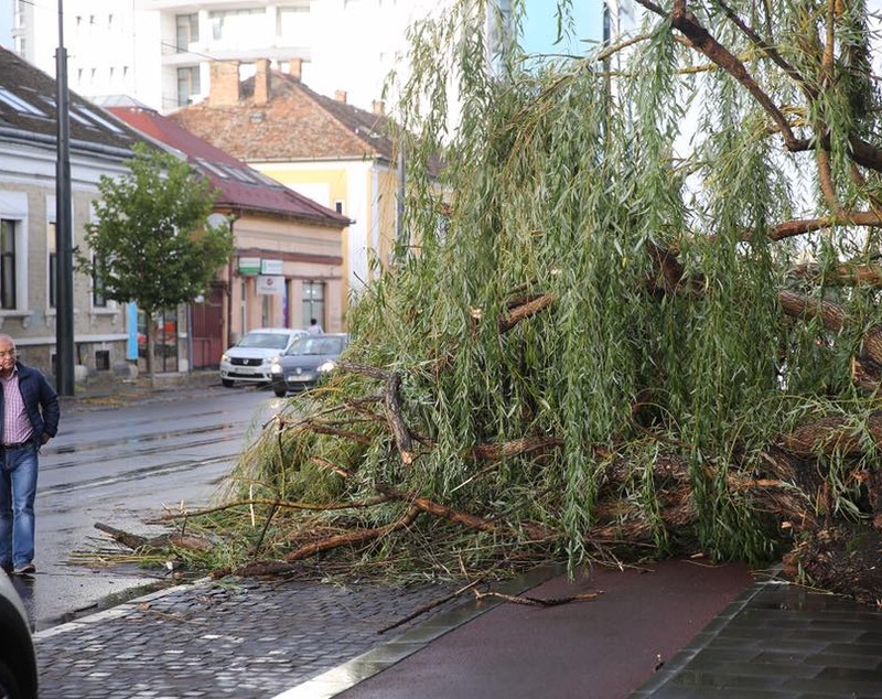 FOTO & VIDEO | Prăpăd după furtună în Cluj. Imaginile dezastrului, publicate de primarul Emil Boc