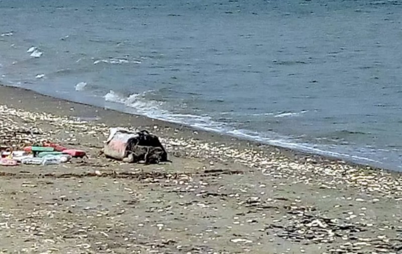 Cum a blocat Tribunalul Tulcea dosarul cocainei din Delta Dunării și Marea Neagră timp de peste 4 ani, deși termenul legal era de două luni