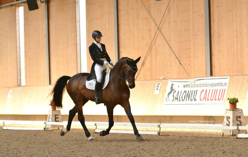 Prima “Clinică de Dresaj” din țară are loc la Clubul Equestria / GALERIE FOTO