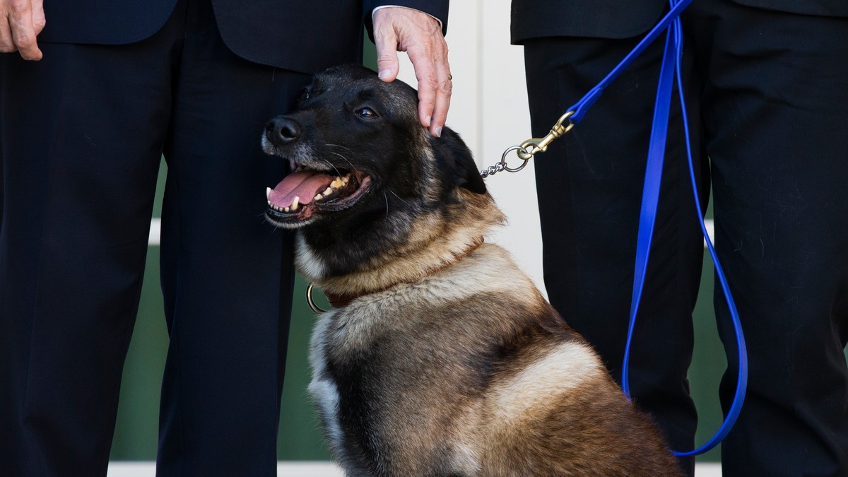 Câinele Conan a fost primit la Casa Albă și medaliat de Donald Trump