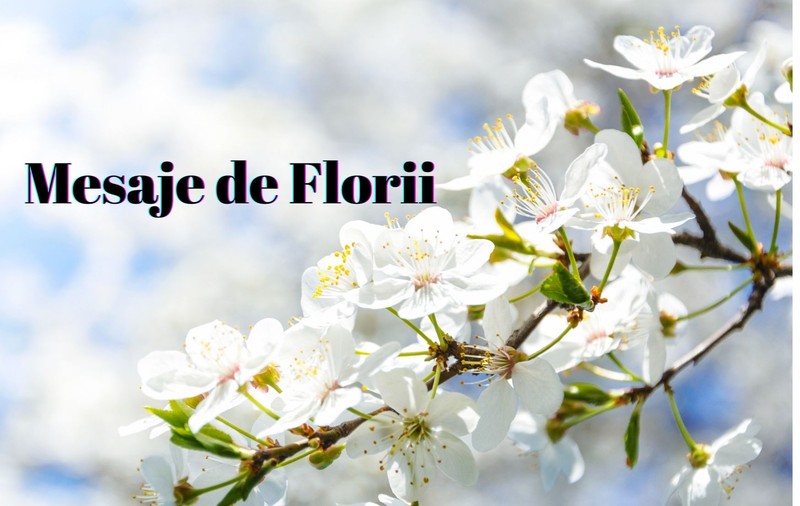 Mesaje și urări de Florii 2021. Cele mai frumoase felicitări pentru cei dragi
