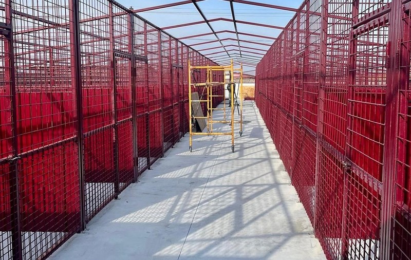 Capacitatea de cazare a câinilor vagabonzi de la adăpostul din Mihăileşti a fost mărită
