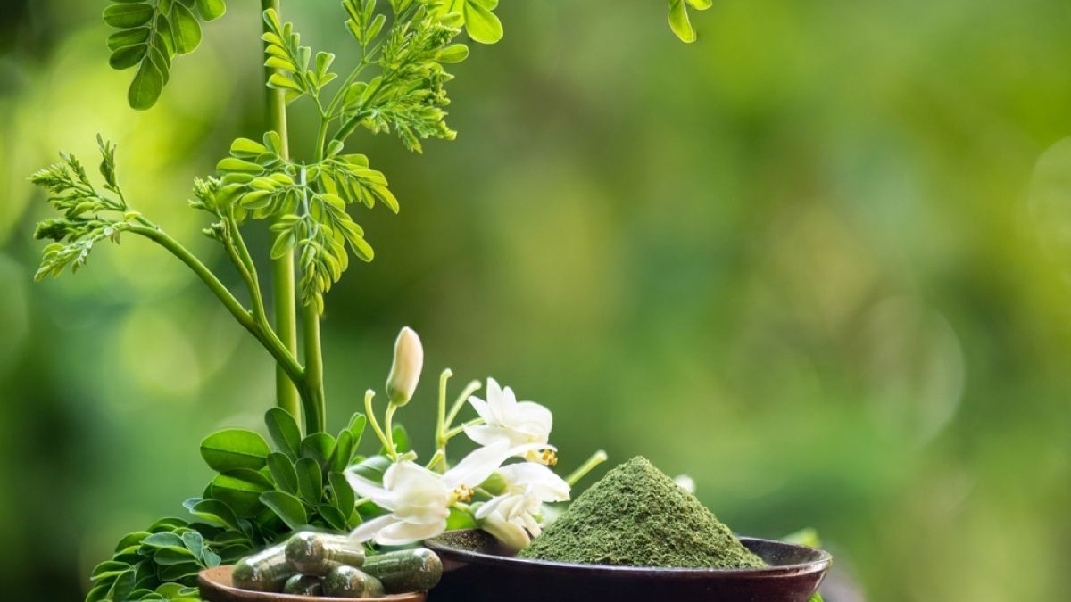 Ce este moringa - beneficii și contraindicații