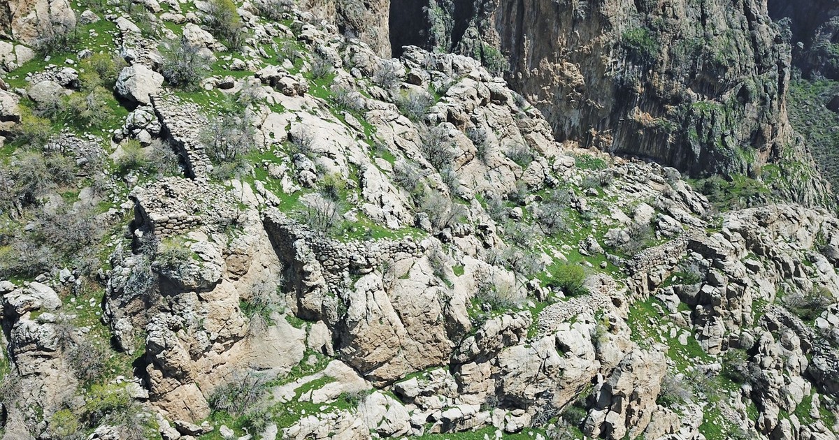 Arhiva foto