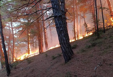 Agitație mare a autorităților: peste 400 de pompieri ruși mobilizați, Foto: Profimedia