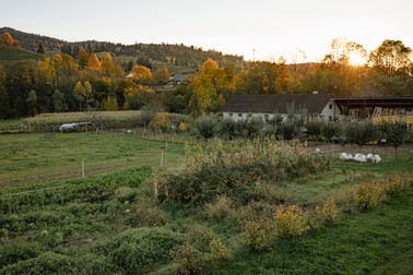 Comuna Lunca Ilvei