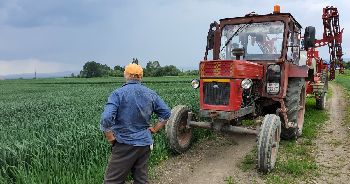 Un fermier care stă cu mâinile în șold și se uită la un lan de grâu, are lângă el un tractor
