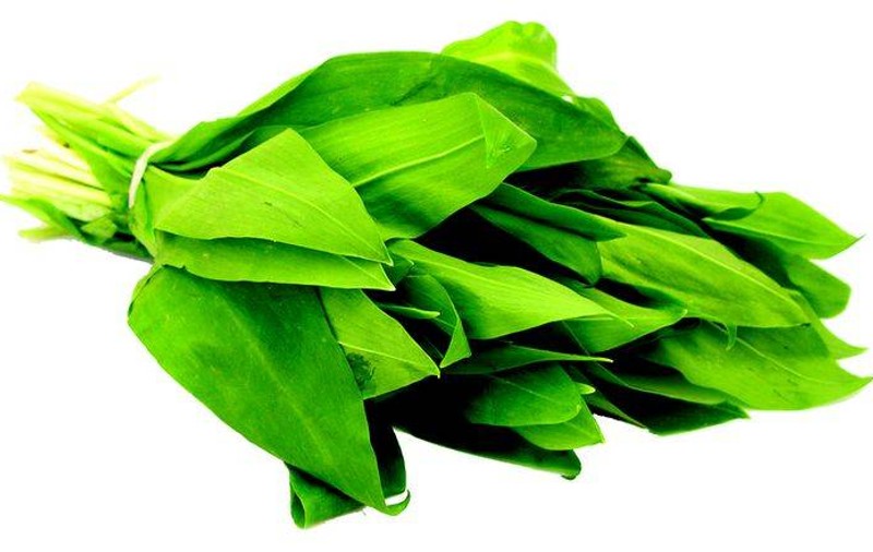 MINUNEA DE PRIMĂVARĂ. LEURDA, leacul natural care ne curăţă organismul de toxine şi ne întăreşte sistemul imunitar