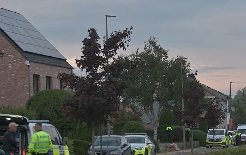 Cinci muncitori români în construcții în Belgia au furat și 288 de sticle de whiskey și riscă să stea câte 7 ani în închisoare