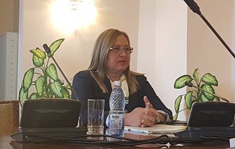 VIDEO & FOTO / Audieri în Senat în dosarul violențelor din 10 august. Speranța Cliseru: "Nu am semnat un ordin, am aprobat un ordin al Jandarmeriei"