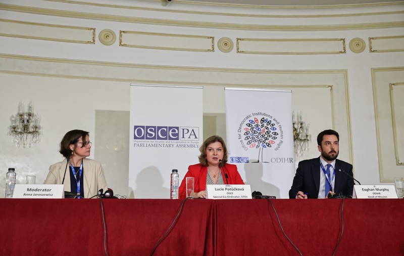Ce concluzii au tras observatorii internaționali pentru turul 2 al alegerilor prezidențiale: problemele care au împiedicat alegătorii să voteze informat