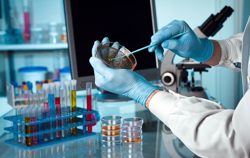 Schimbare de ultimă oră, după ce Libertatea a semnalat că există improvizații care pun sănătatea publică în pericol: ASSMB amână experimentul pe copii cu Plăcuțele Petri!