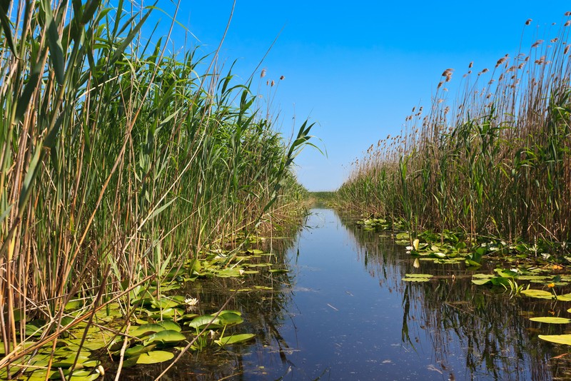 Delta Dunării