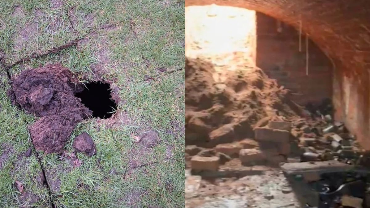 Un colaj cu două fotografii cu descoperirea de pe un teren de golf din Marea Britanie. În imaginea din stânga se vede o caută în terenul de golf, în mijlocul ierbii. În imaginea din dreapta se vede o pivniță în pământ, plină cu sticle de vin