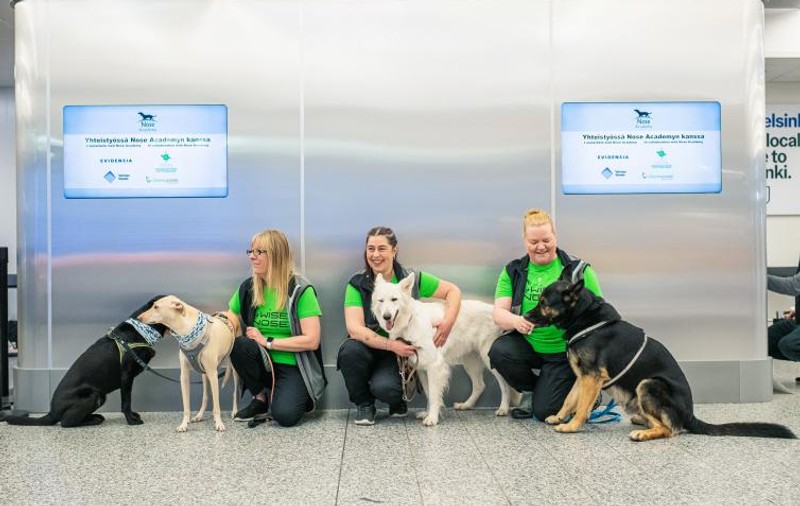 VIDEO | Câini antrenaţi să depisteze COVID, aduşi pe aeroportul din Helsinki. „Pot descoperi boala înainte să apară primele simptome”