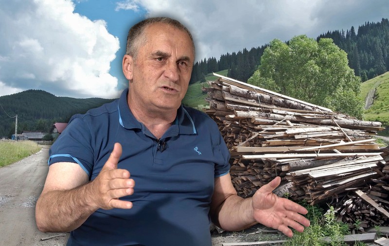 VIDEO | Mărturia hoților de lemn înainte de cătușe! Un pădurar recunoaște: “Am fost parte la furat. Banii ajung și la partid”