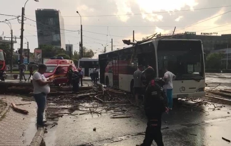 Imaginile dezastrului lăsat în urmă de furtuna din București, cu străzi inundate și copaci doborâți. Intrarea în Spitalul Colentina a fost blocată de apă | FOTO -  VIDEO