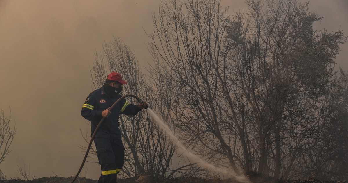 Incendii de vegetație provocate intenționat în Suceava