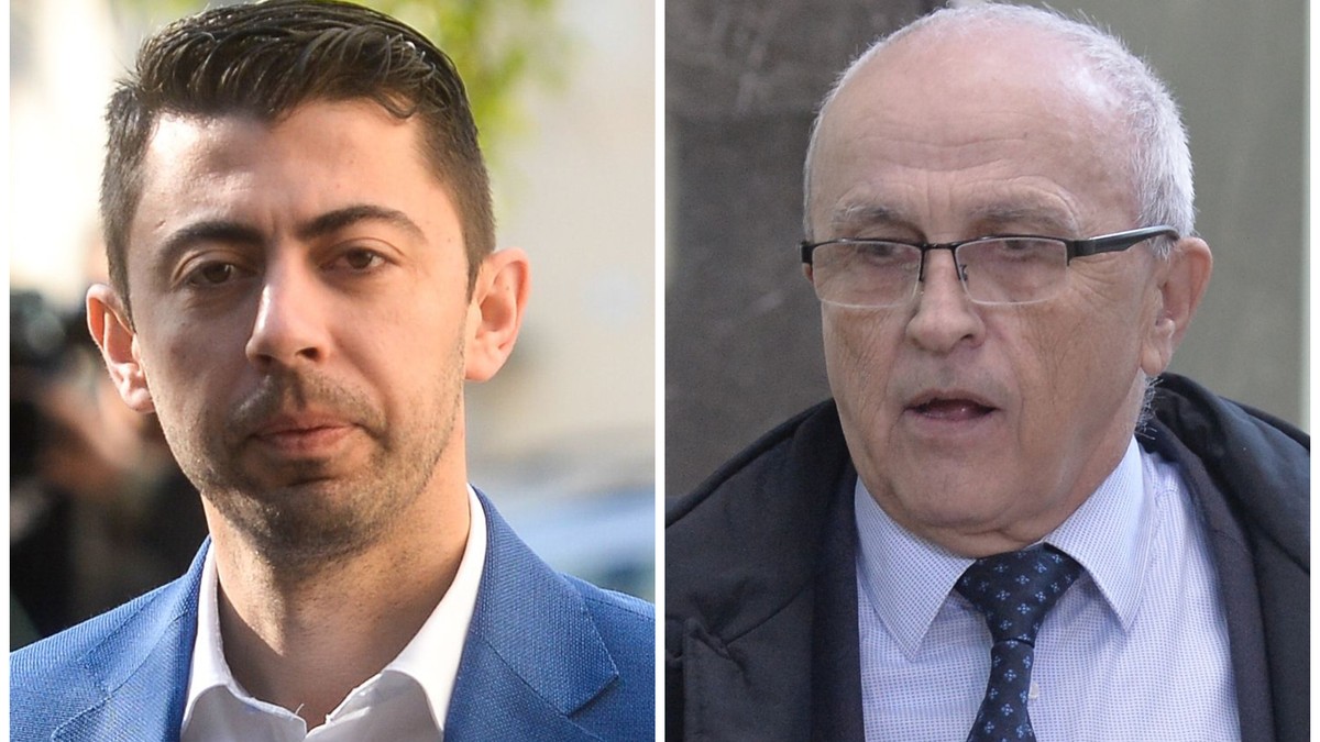 Vlad Cosma și Mircea Cosma