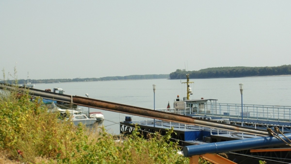 Arhiva foto