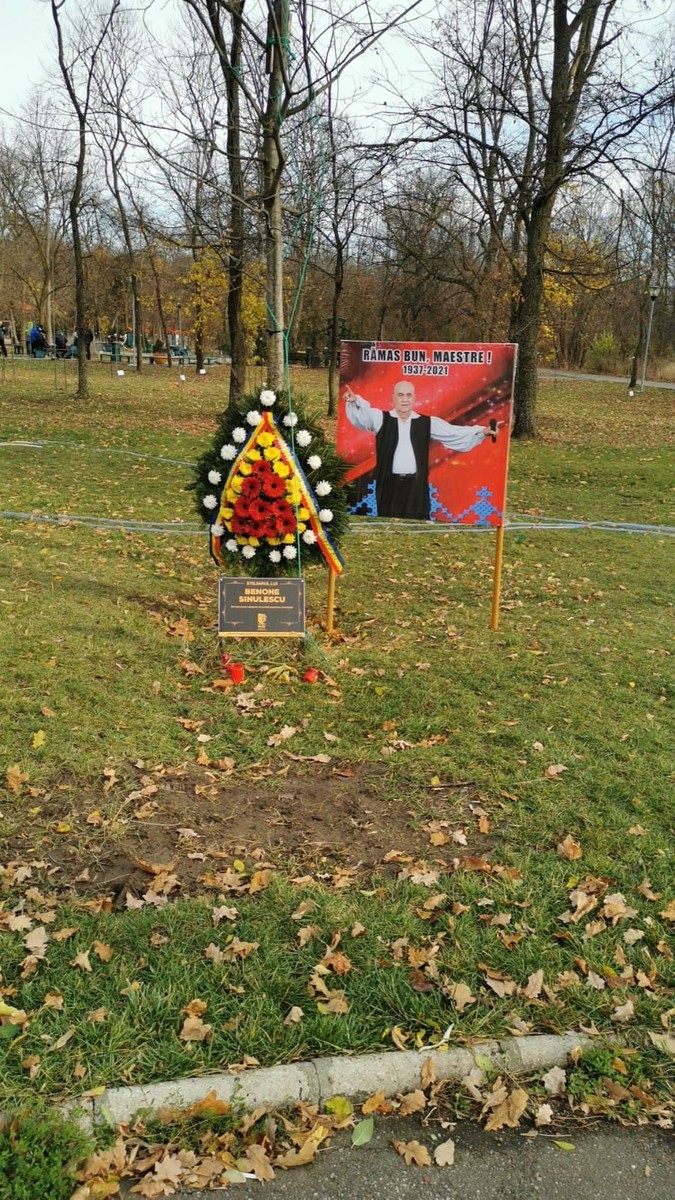 &nbsp;Stejarul plantat anul trecut de artist (Foto Facebook Primăria Buzău)