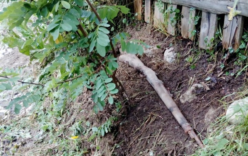 O pușcă de mai bine de 100 de ani vechime a fost găsită pe malul unui râu din Neamț. Cum arată arma