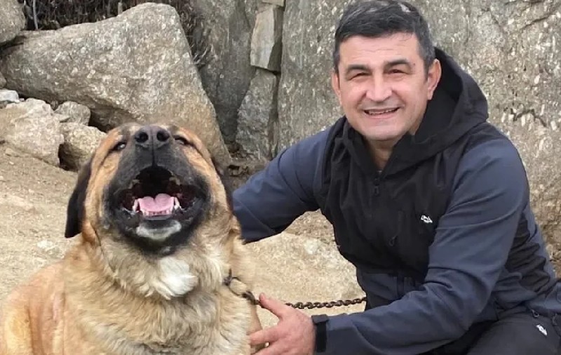 Mircea Spiridon a murit când încerca să salveze 20 de cai și pe proprietarul lor de 83 de ani, în incendiul de la Tres Cantos, în Spania