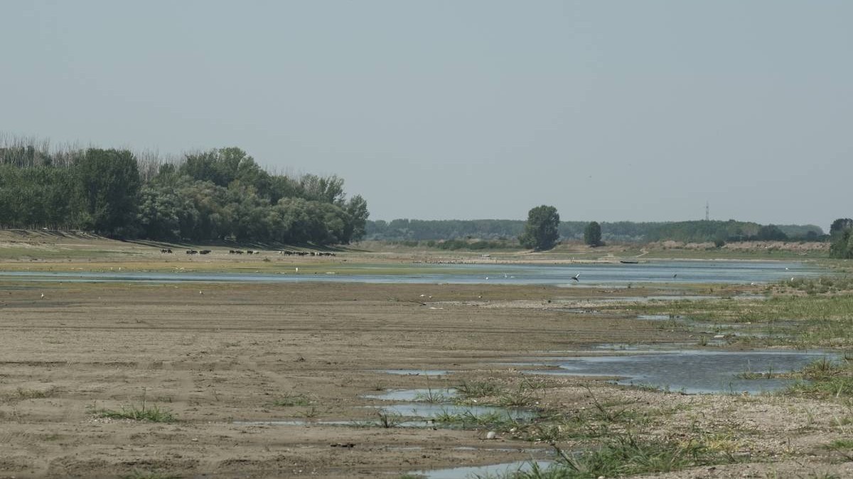 Niveluri scăzute ale apei pe fluviul Dunărea la Coslogeni, județul Călărași, România, pe 15 august 2026. Poză cu caracter ilustrativ. Foto: Getty Images