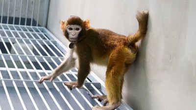 profimedia-0837670169