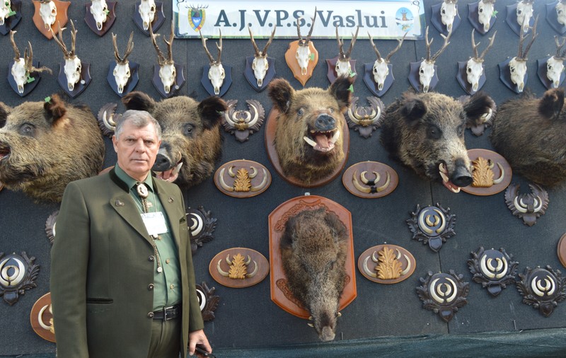 ANALIZĂ/ Pesta porcină „bate la ușă” în județul Vaslui, autoritățile și vânătorii se ceartă pe autorizații. Efectul, niciun mistreț nu a fost împușcat pe frontiera cu Republica Moldova