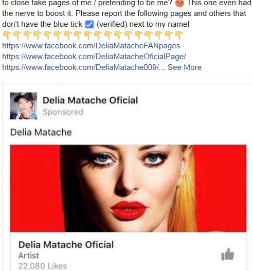 Delia, în culmea disperării. "Vă rugăm să raportați paginile"