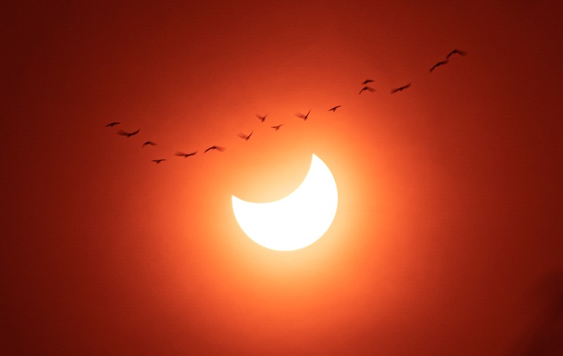 Cum s-a văzut eclipsa parțială de Soare din România - VIDEO