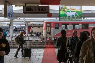 Una dintre lucrări, expuse pe peronul gării din Timișoara FOTO: Laurian Ghinițoiu