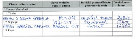 În declarația de avere a soției sale Gabriel Adrinel apare ca avocat al Baroului Olt