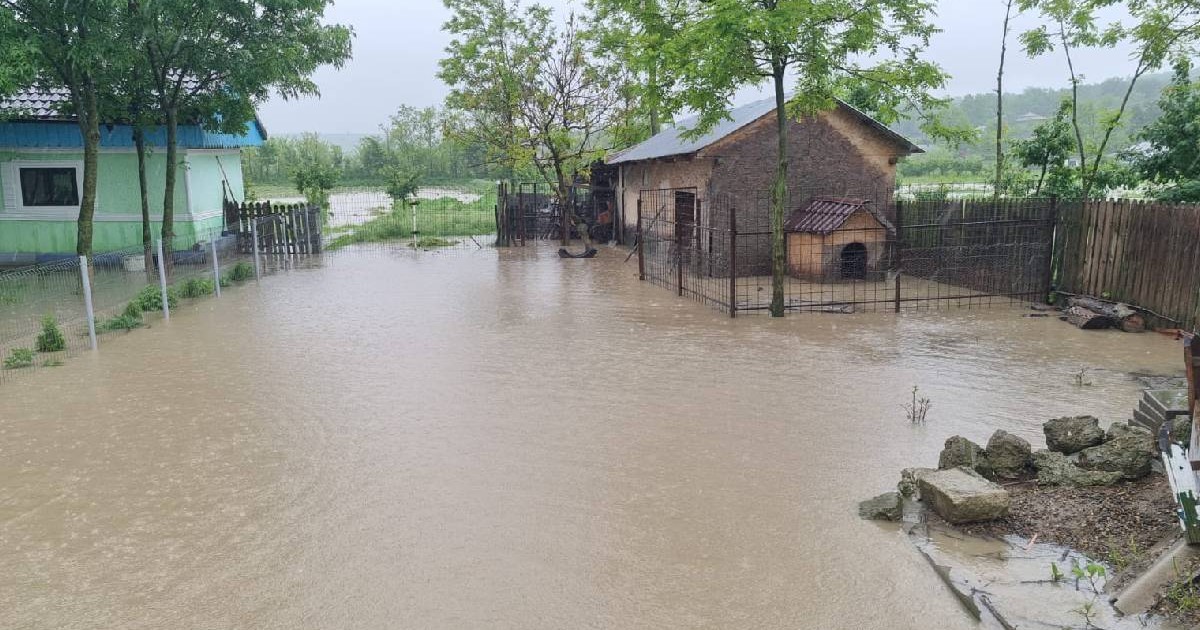 O curte din România, distrusă de apă și gospodăriile din ea inundate, în timpul viituri de la Galați.