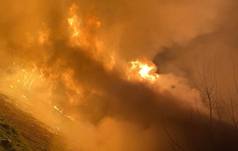 Incendiu de vegetație lângă localitatea vasluiană Murgeni. Focul afectează 30 hectare