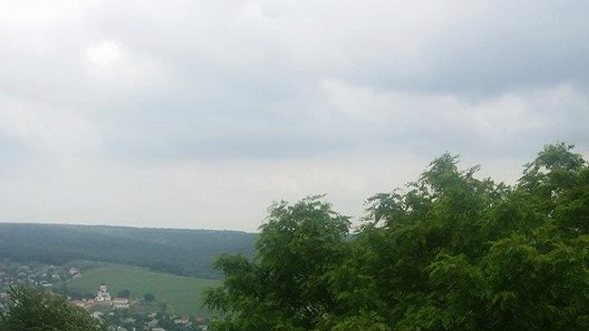 Arhiva foto