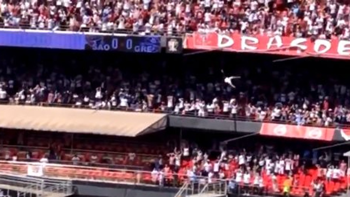 Un tânăr căzut din tribune peste o fetiță, la un meci de fotbal din Brazilia. Ambii au supraviețuit