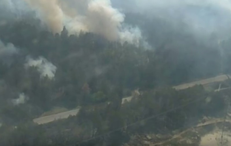 Pădurea Roşie de la Cernobîl a luat foc. Incendiul a cuprins rapid 10 hectare de vegetaţie