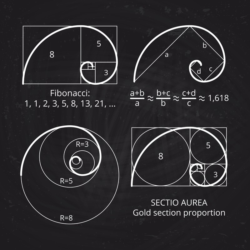 Schema secțiunii raportului de aur, spirala Fibonacci