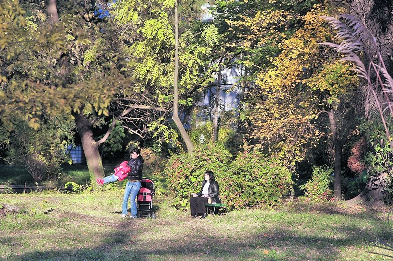 Arhiva foto