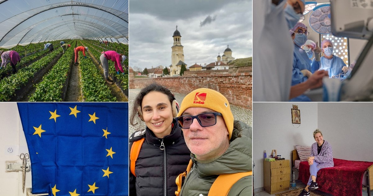 Colaj cu poze realizate de Elena Stancu și Cosmin Bumbuț cu viața reală a diasporei românești