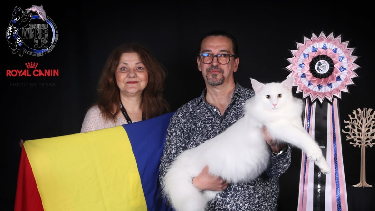 În imagine este ilustrată o femeie care ține drapelul României în mână, iar în dreapta este un bărbat care ține un motan alb în brațe