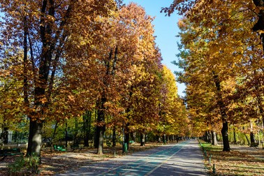 Locuri de alergat în București - Parcul Herăstrău