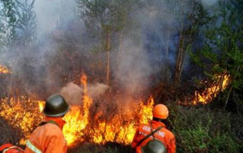 Incendii de vegetație în Australia. Sute de persoane au fost evacuate