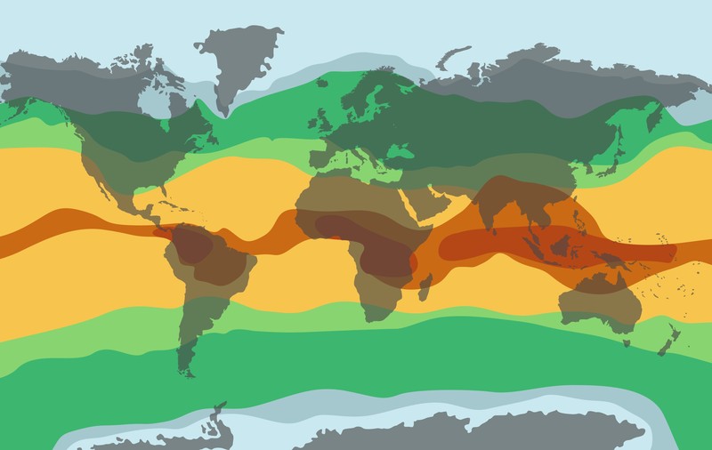 Tipuri de climă. Ce climă are România și de ce este influențată