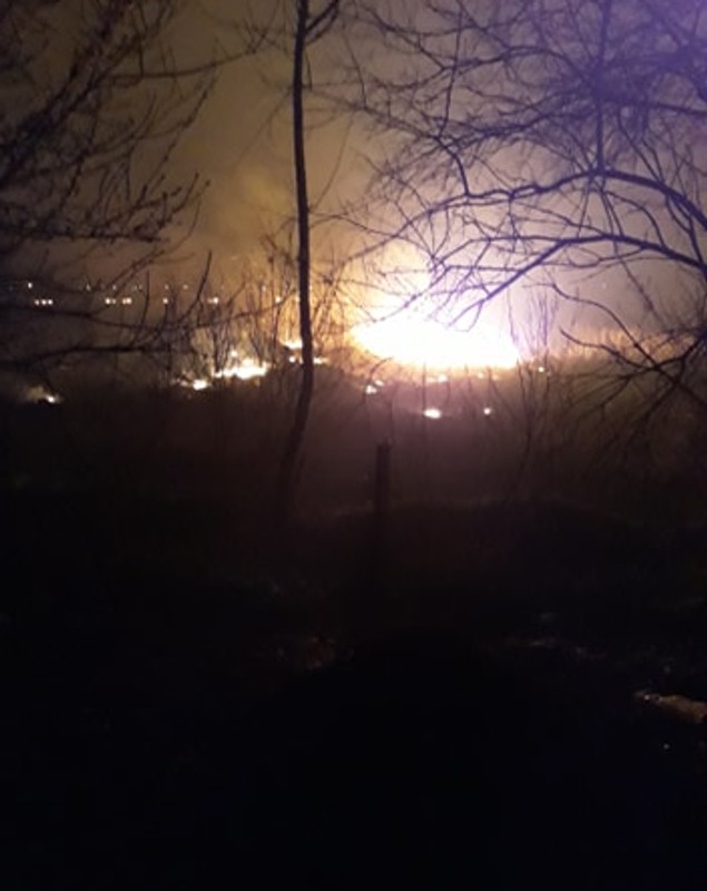 VIDEO Incendiu de vegetație în apropierea caselor din Fierbinți. Au ars 350 hectare de stuf și iarbă uscată: “Ne-am panicat, flăcările erau uriașe”