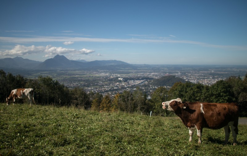 Austria înăsprește regulile pentru turiști. Ce nu mai au voie să facă
